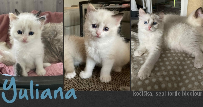 yuliana.jpg, 267kB